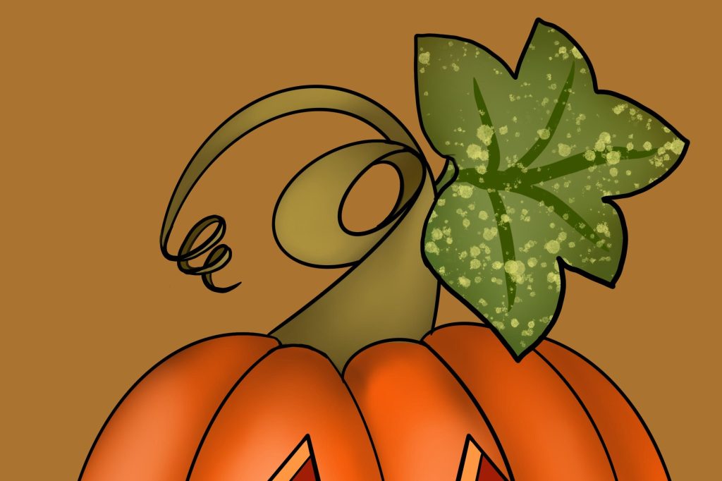 jack-o-lantern